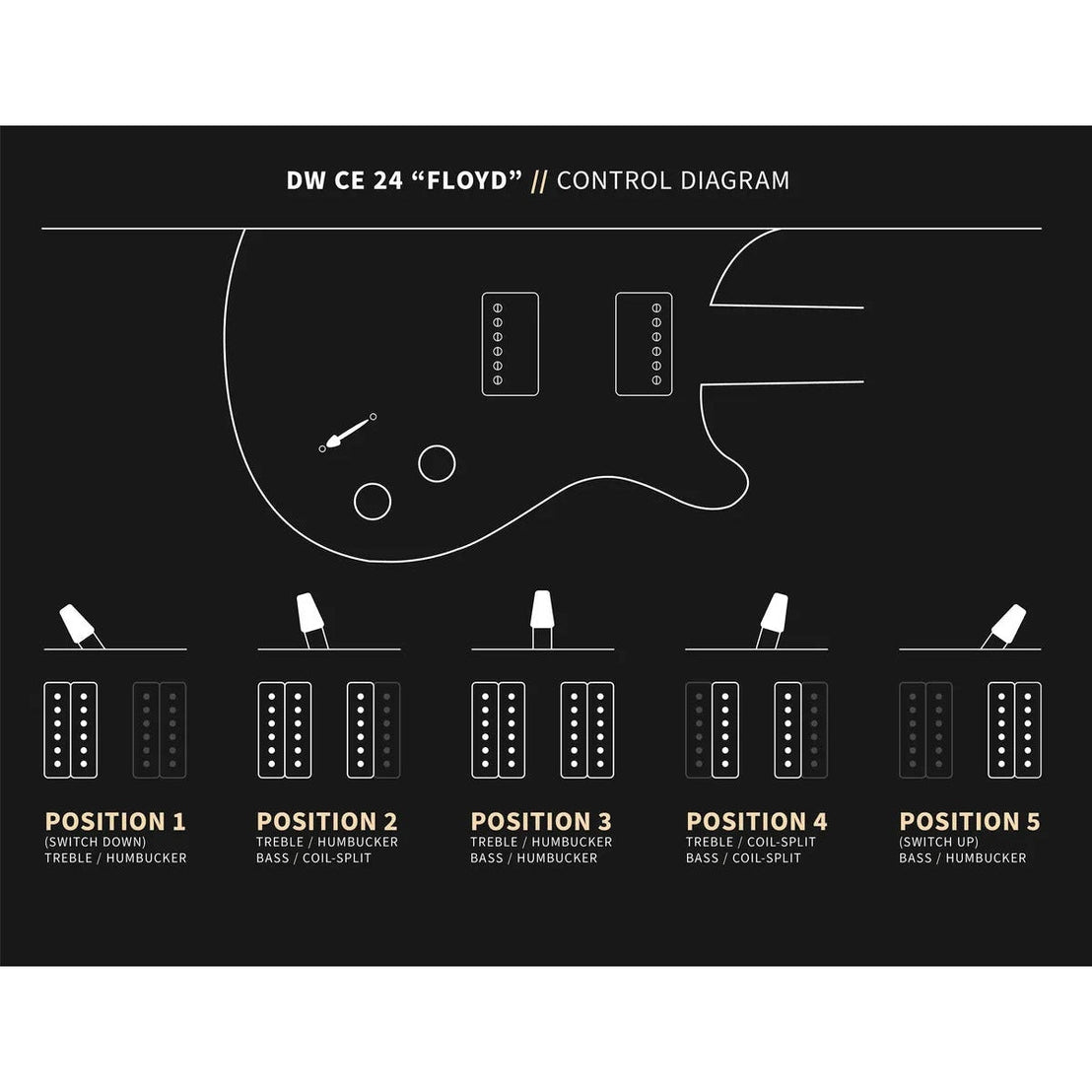 Đàn Guitar Điện PRS Dustie Warning CE 24 Floyd w/Bag, Black Top-Mai Nguyên Music