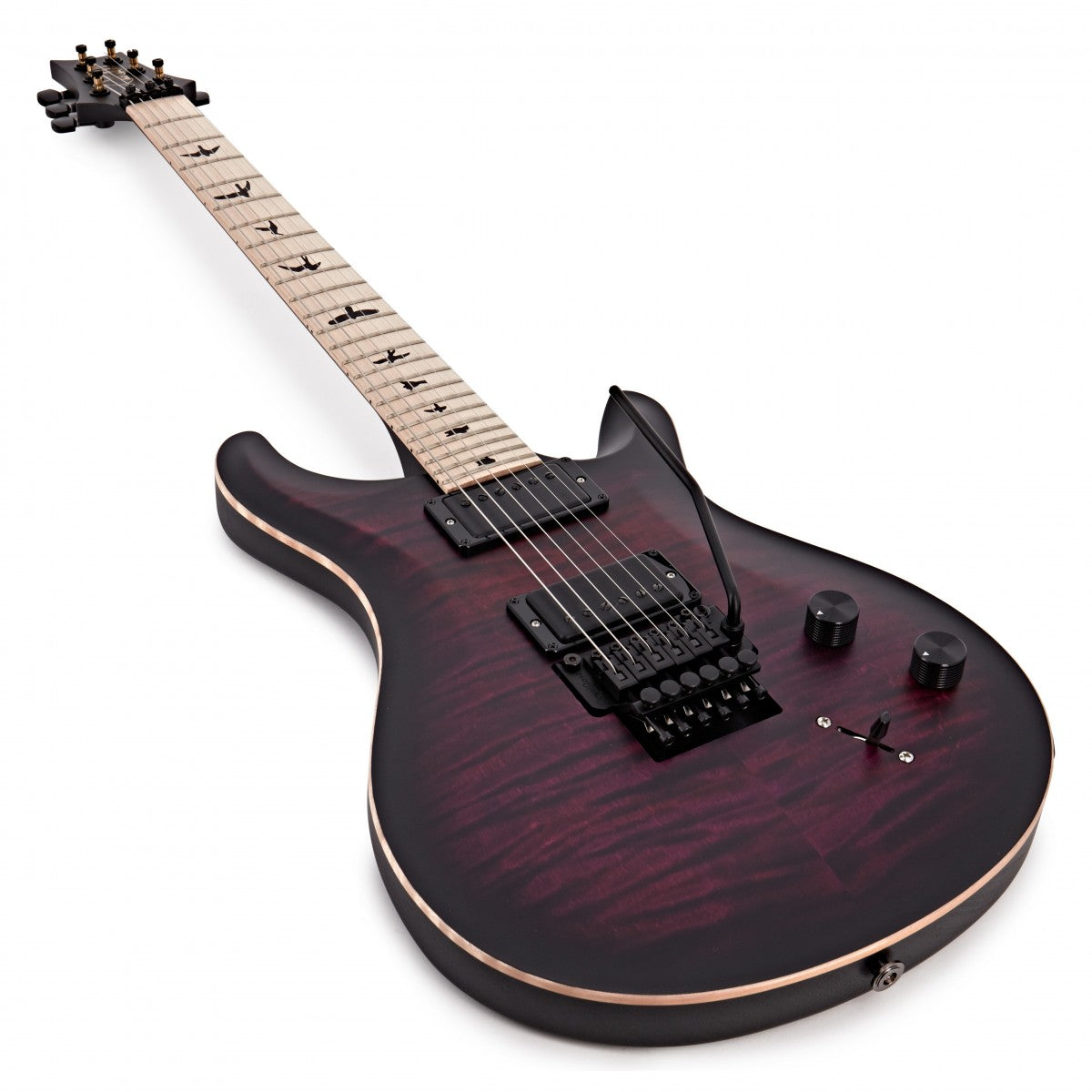 Đàn Guitar Điện PRS Dustie Warning CE 24 Floyd w/Bag, Waring Burst-Mai Nguyên Music