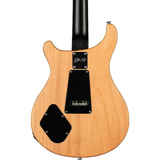 Đàn Guitar Điện PRS DW CE 24 “Floyd” - 2024-Mai Nguyên Music