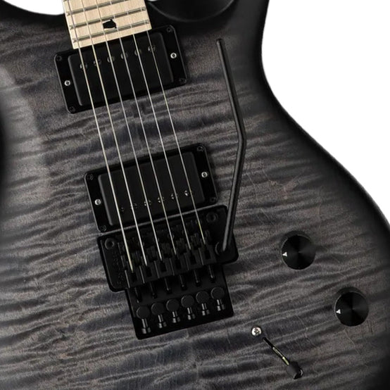 Đàn Guitar Điện PRS DW CE 24 “Floyd”-Mai Nguyên Music