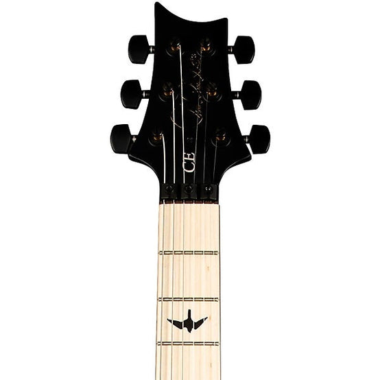 Đàn Guitar Điện PRS DW CE 24 “Floyd”-Mai Nguyên Music