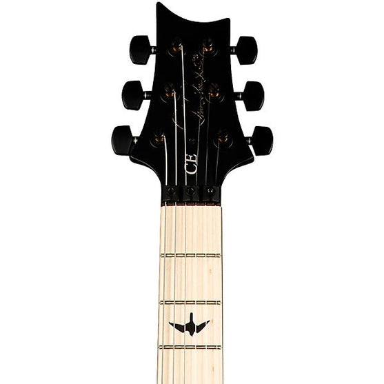 Đàn Guitar Điện PRS DW CE 24 “Floyd”-Mai Nguyên Music