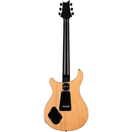 Đàn Guitar Điện PRS DW CE 24 “Floyd”-Mai Nguyên Music