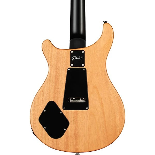 Đàn Guitar Điện PRS DW CE 24 “Floyd”-Mai Nguyên Music