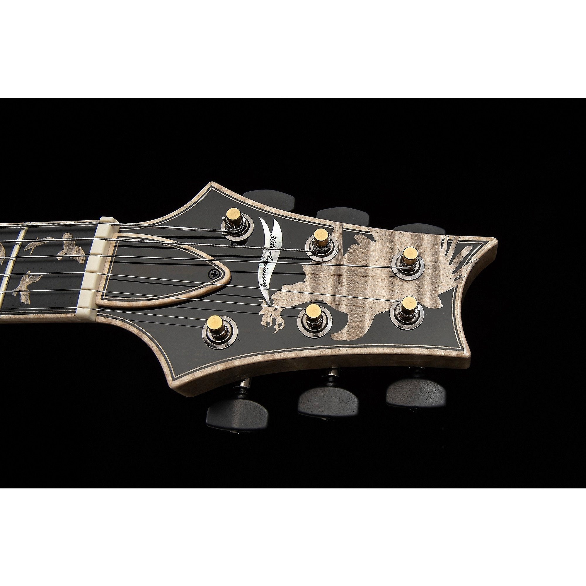 Đàn Guitar Điện PRS Private Stock 30th Anniversary Birds of a Feather Hollowbody I - Frostbite Glow-Mai Nguyên Music