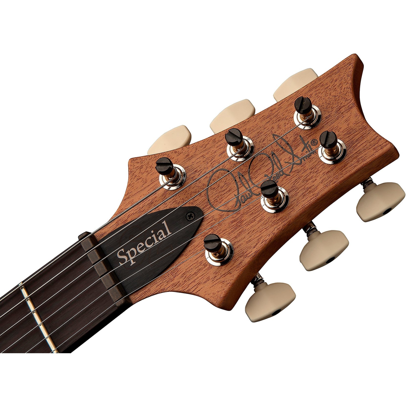 Đàn Guitar Điện PRS S2 Special Semi-Hollow Reclaimed Limited Edition, Guaribu Preto Fingerboard-Mai Nguyên Music