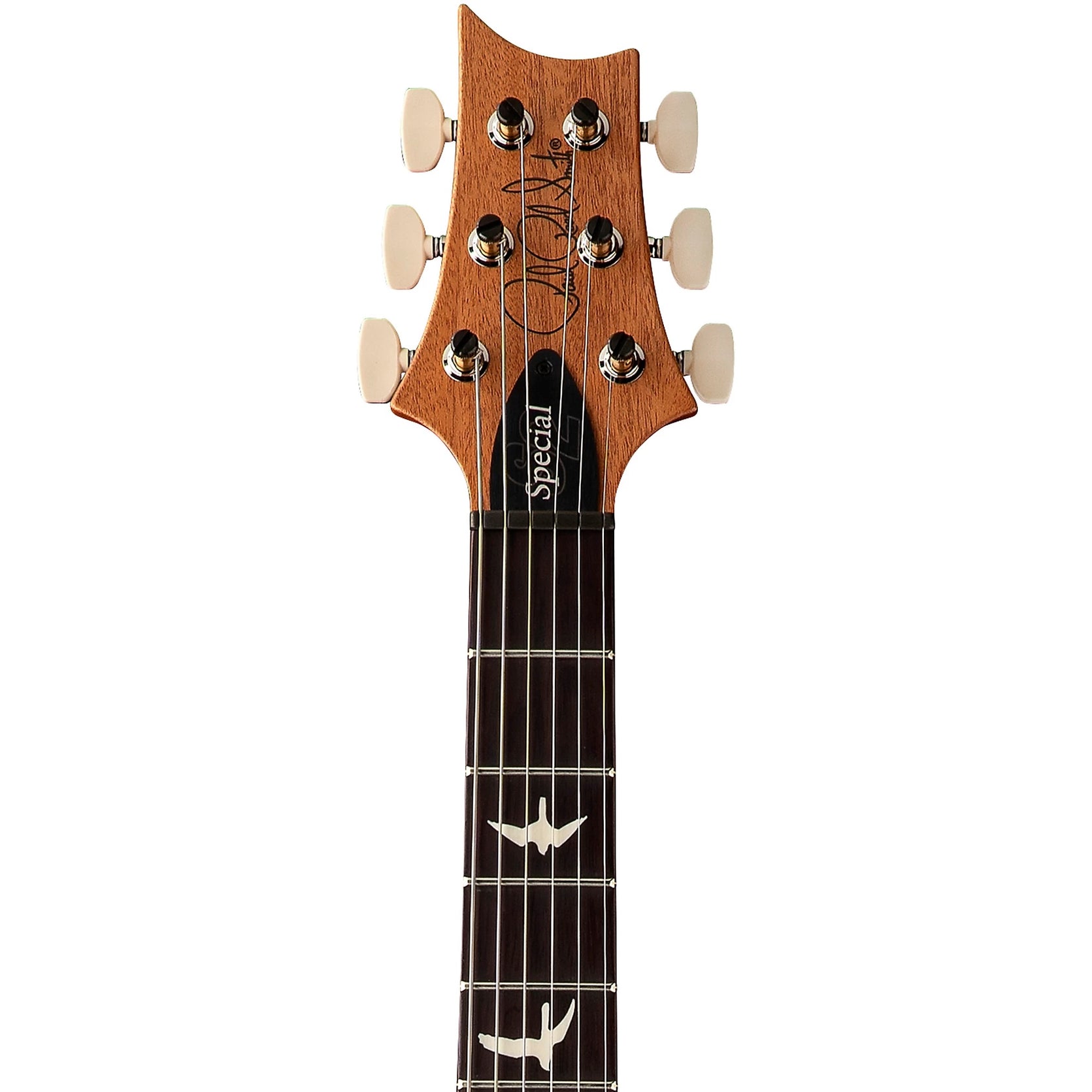 Đàn Guitar Điện PRS S2 Special Semi-Hollow Reclaimed Limited Edition, Guaribu Preto Fingerboard-Mai Nguyên Music