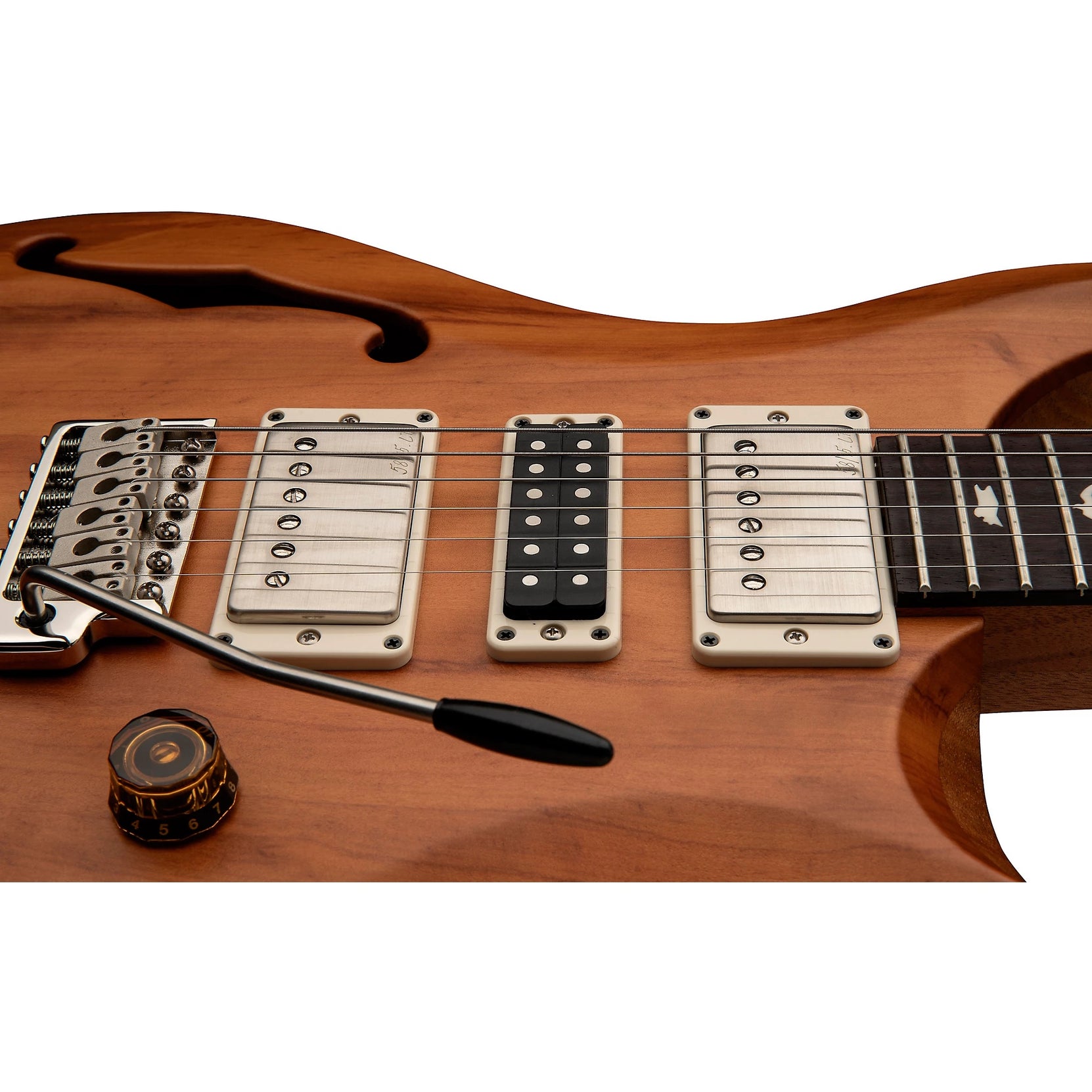Đàn Guitar Điện PRS S2 Special Semi-Hollow Reclaimed Limited Edition, Guaribu Preto Fingerboard-Mai Nguyên Music