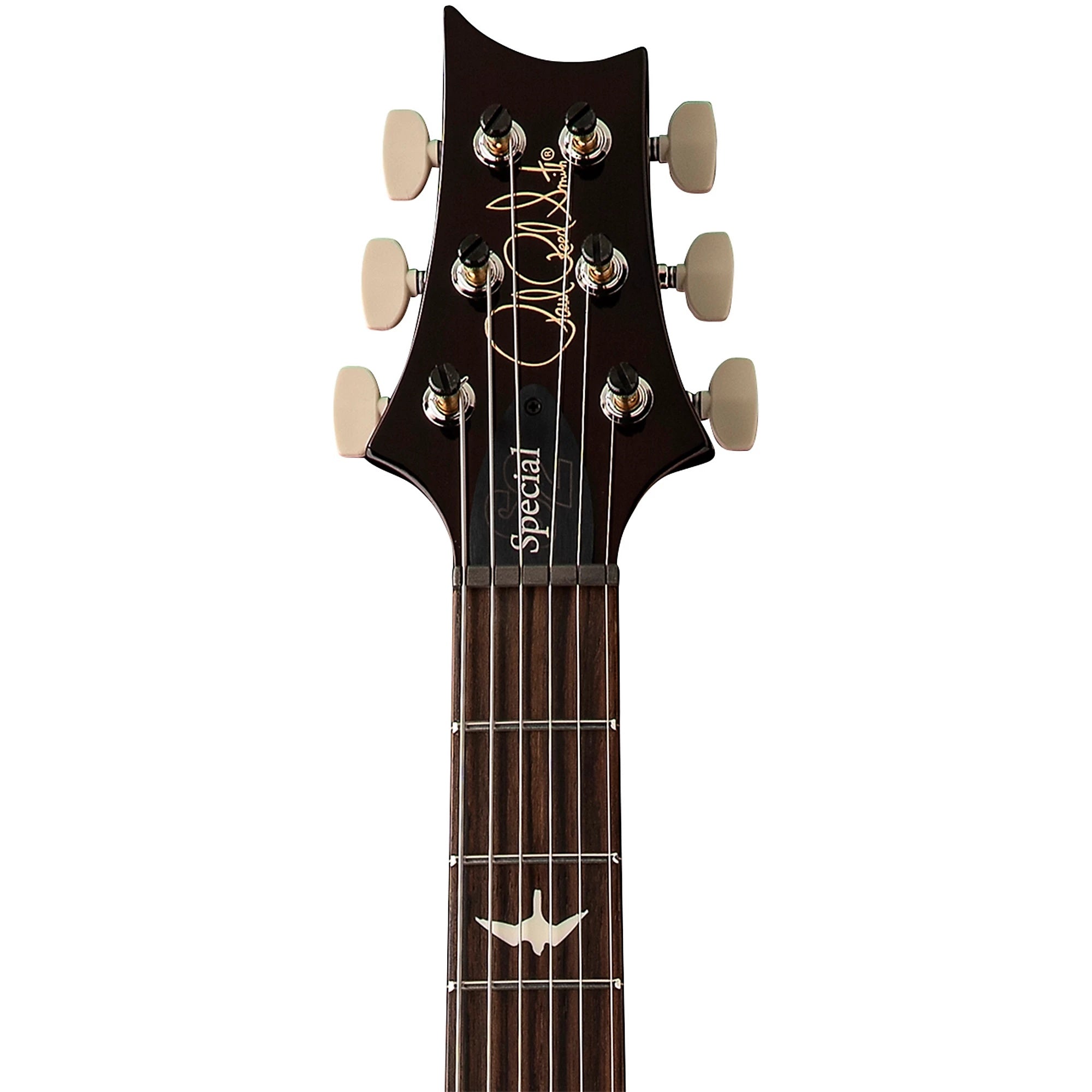 Đàn Guitar Điện PRS S2 Special Semi-Hollow, Rosewood Fingerboard-Mai Nguyên Music