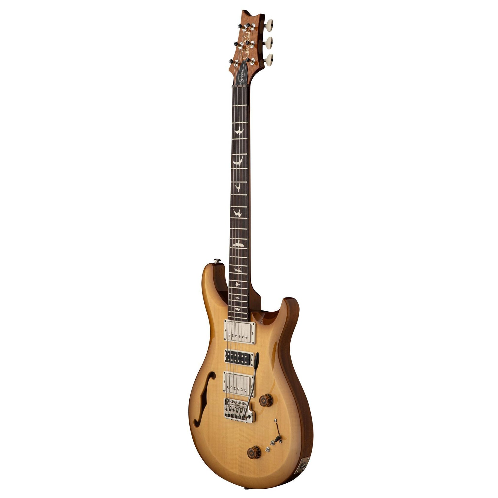 Đàn Guitar Điện PRS S2 Special Semi-Hollow, Rosewood Fingerboard-Mai Nguyên Music
