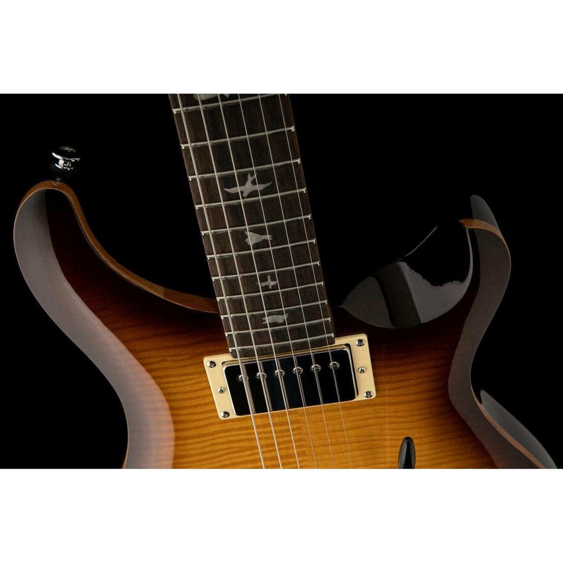 Đàn Guitar Điện PRS SE DGT David Grissom Signature, Rosewood Fingerboard-Mai Nguyên Music