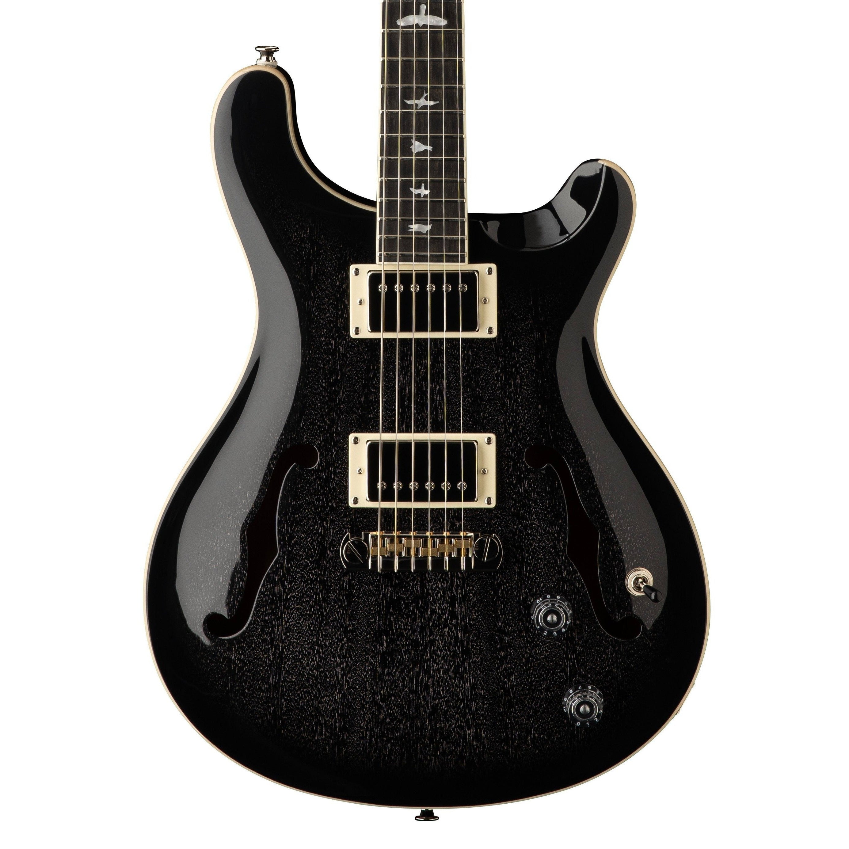Đàn Guitar Điện PRS SE Hollowbody Standard, Ebony Fingerboard-Mai Nguyên Music