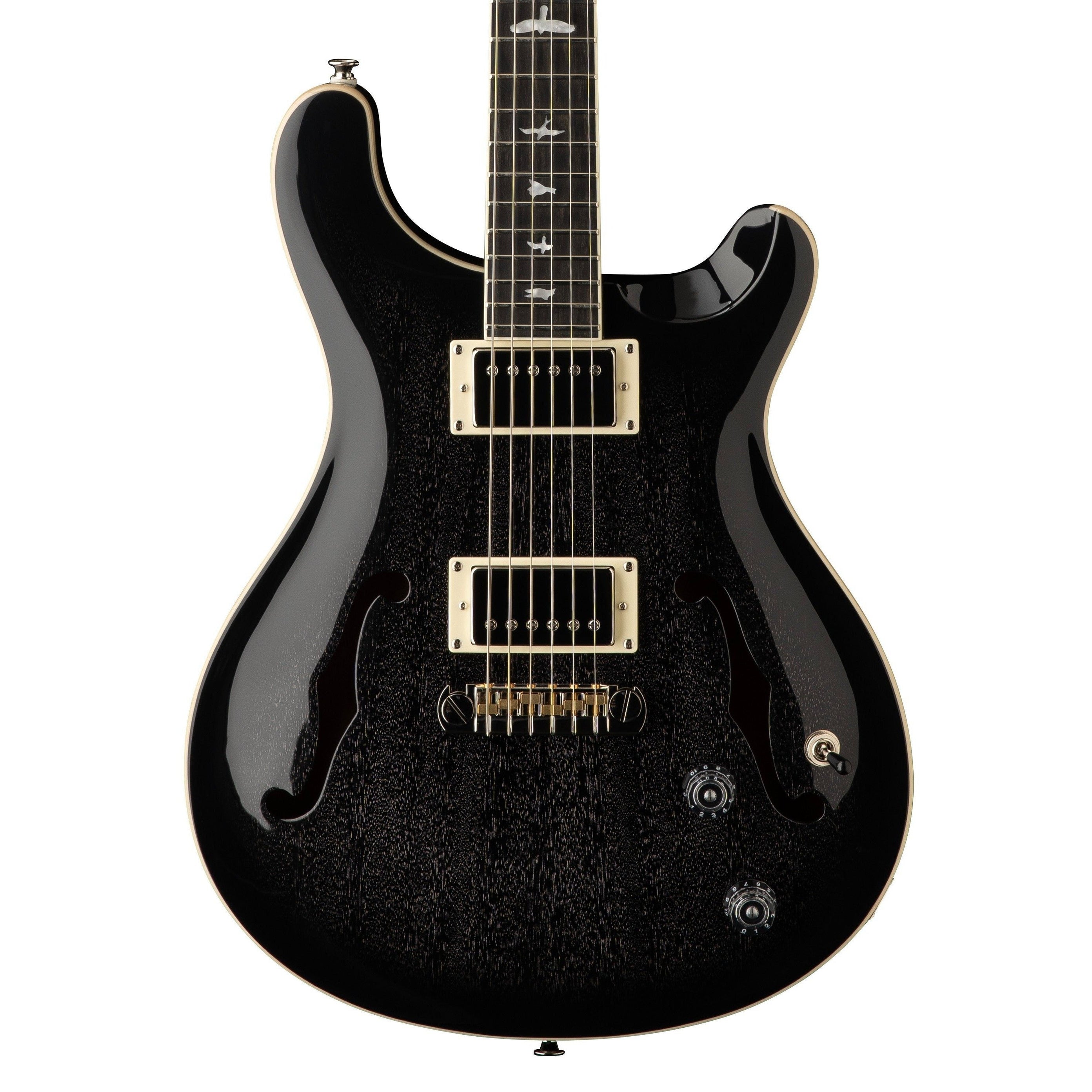 Đàn Guitar Điện PRS SE Hollowbody Standard, Ebony Fingerboard-Mai Nguyên Music