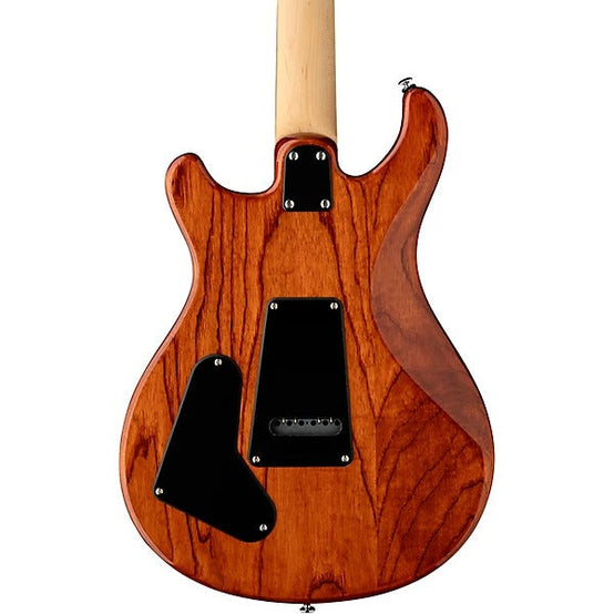 Đàn Guitar Điện PRS SE Swamp Ash Special, Maple Fingerboard-Mai Nguyên Music