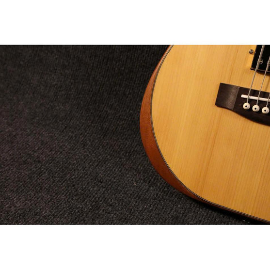 Đàn Guitar Điện Sqoe SEAE910-Mai Nguyên Music