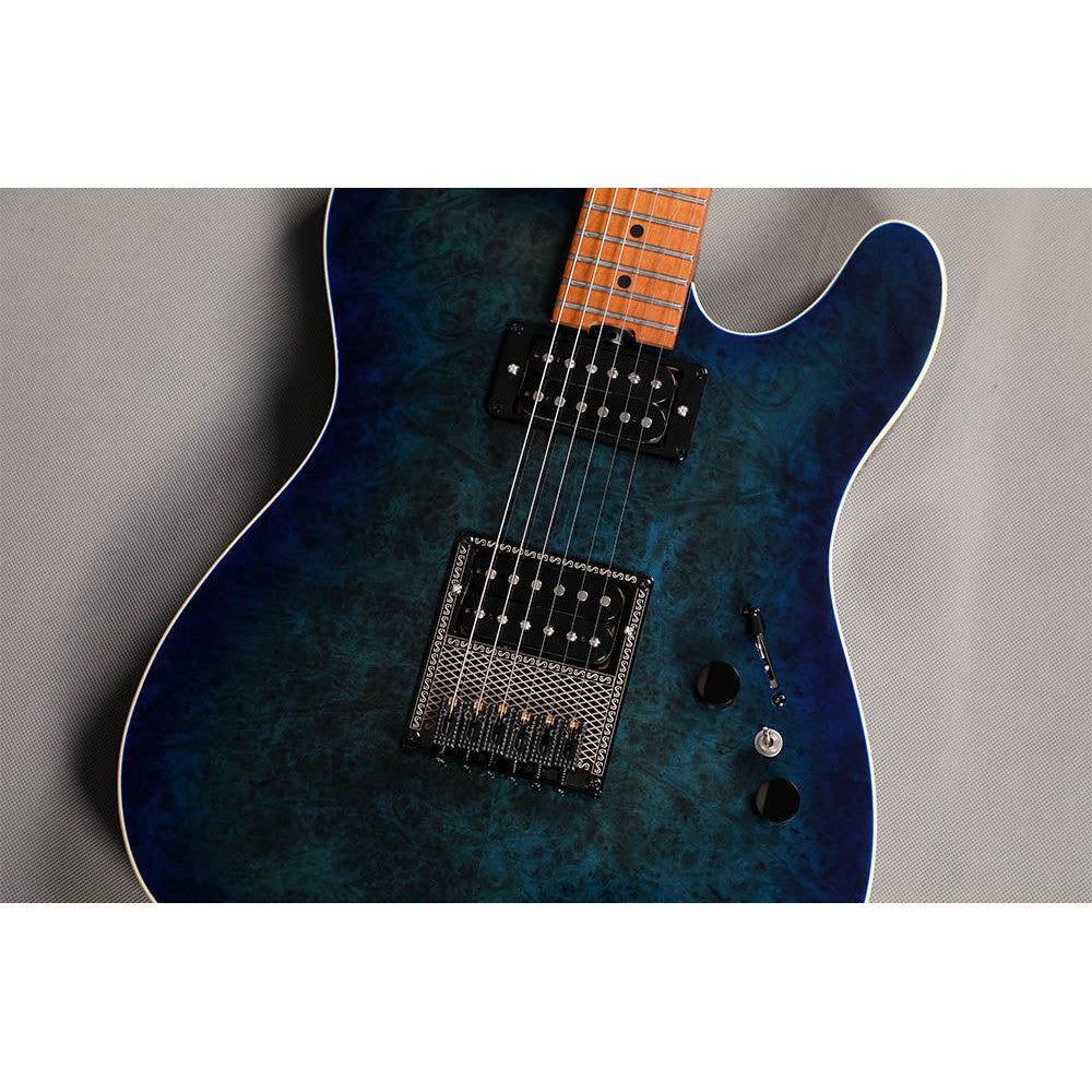 Đàn Guitar Điện Sqoe SETL650 Telecaster-Mai Nguyên Music