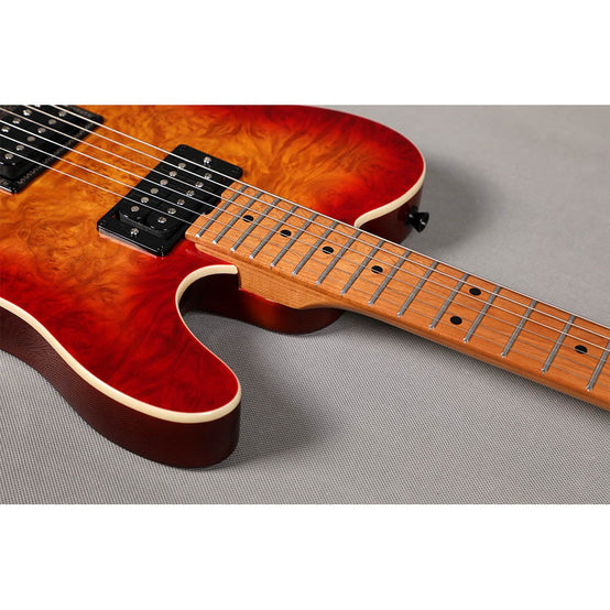 Đàn Guitar Điện Sqoe SETL650 Telecaster-Mai Nguyên Music
