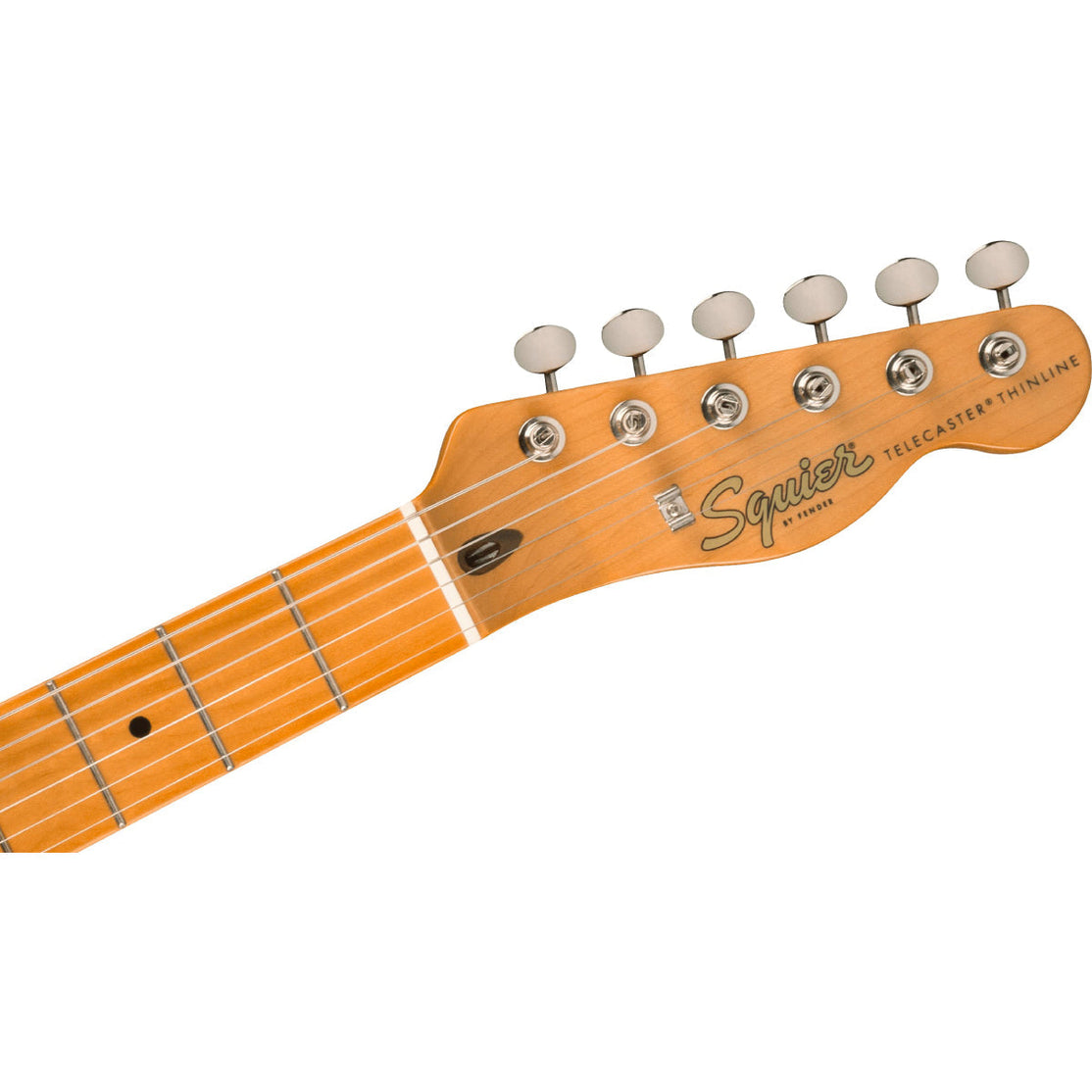 Đàn Guitar Điện Squier Classic Vibe 60s Telecaster Thinline, Maple Fingerboard, Sherwood Green-Mai Nguyên Music