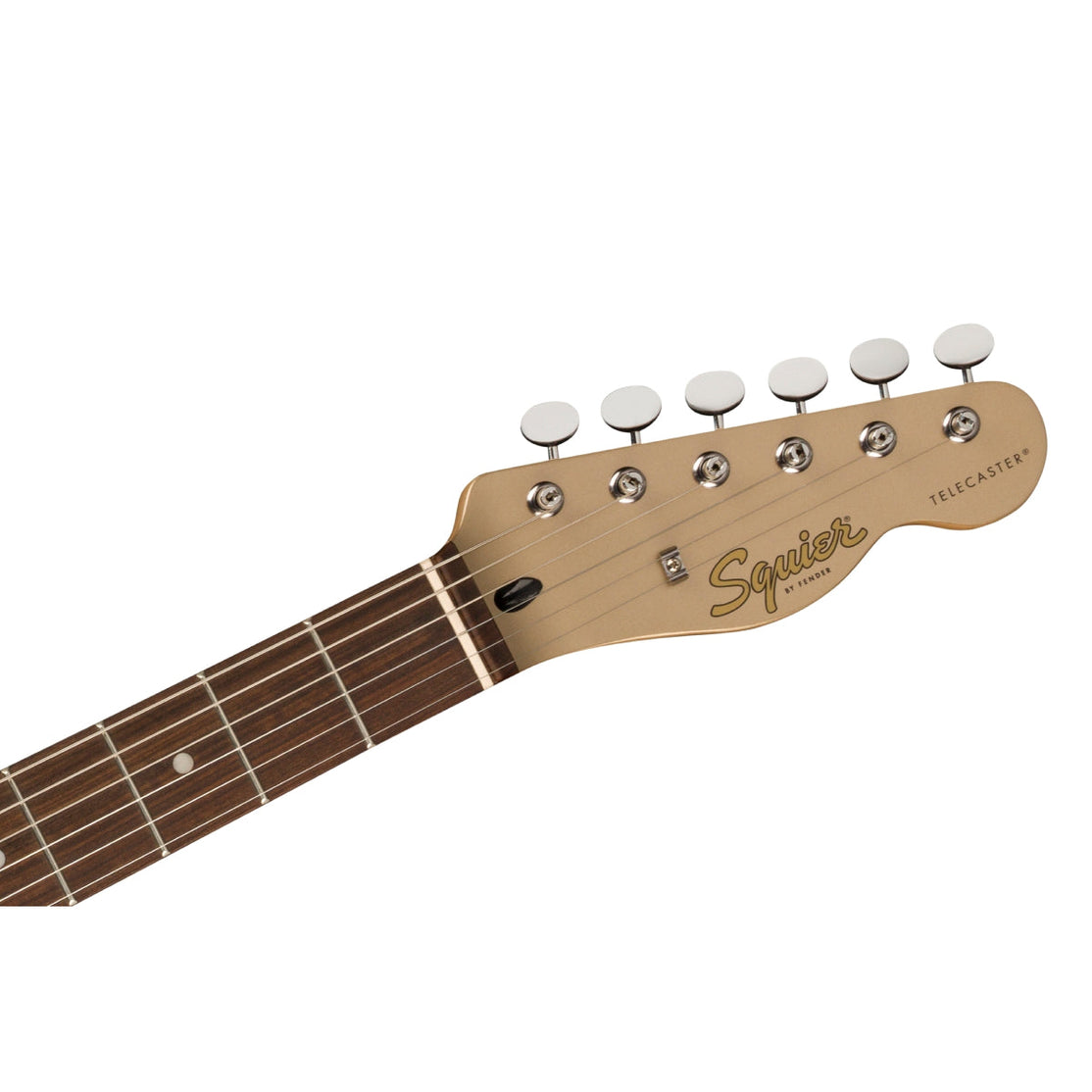 Đàn Guitar Điện Squier Paranormal Cabronita Telecaster Thinline, Laurel Fingerboard, Shoreline Gold-Mai Nguyên Music