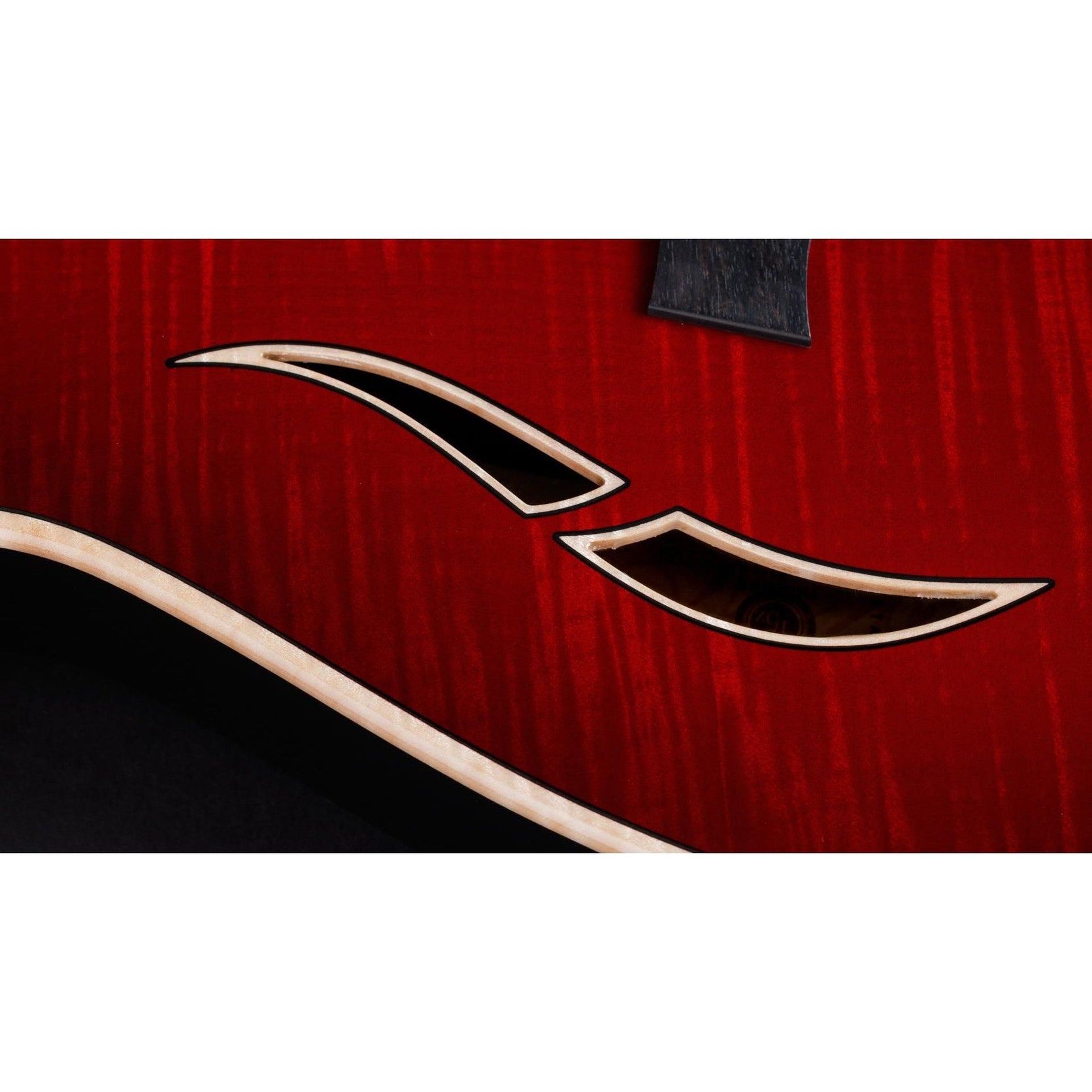 Đàn Guitar Điện Taylor T5z Pro-Mai Nguyên Music