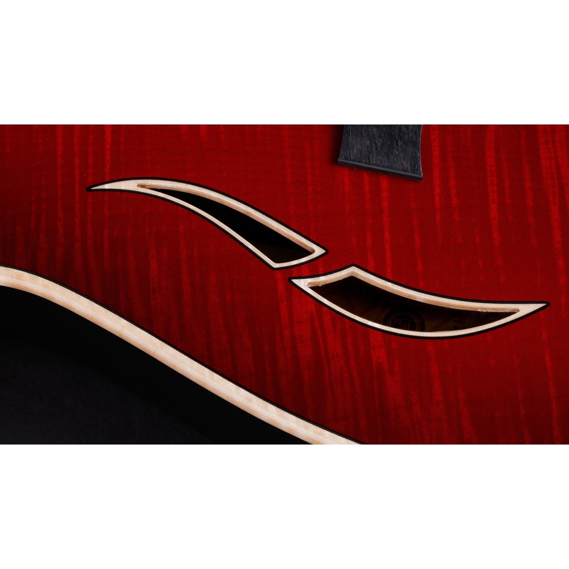 Đàn Guitar Điện Taylor T5z Pro-Mai Nguyên Music