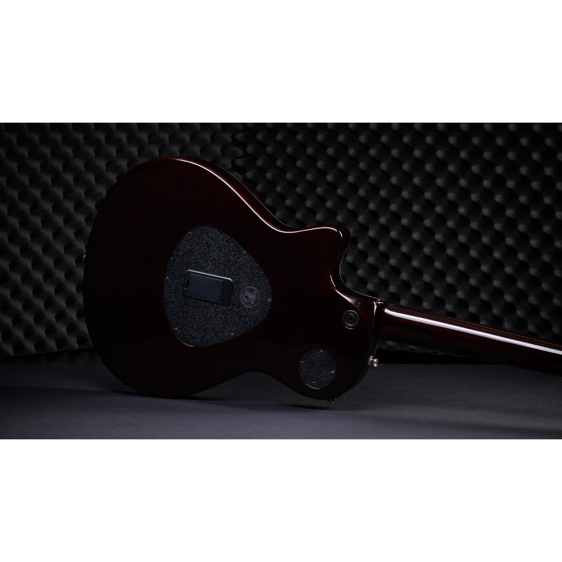 Đàn Guitar Điện Taylor T5z Pro-Mai Nguyên Music