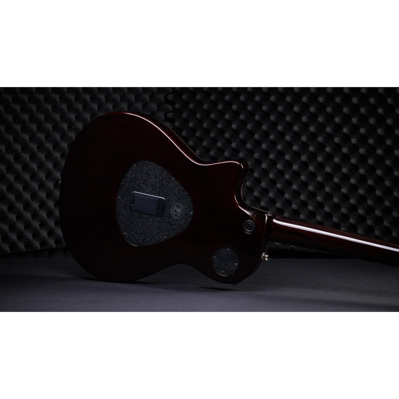 Đàn Guitar Điện Taylor T5z Pro-Mai Nguyên Music