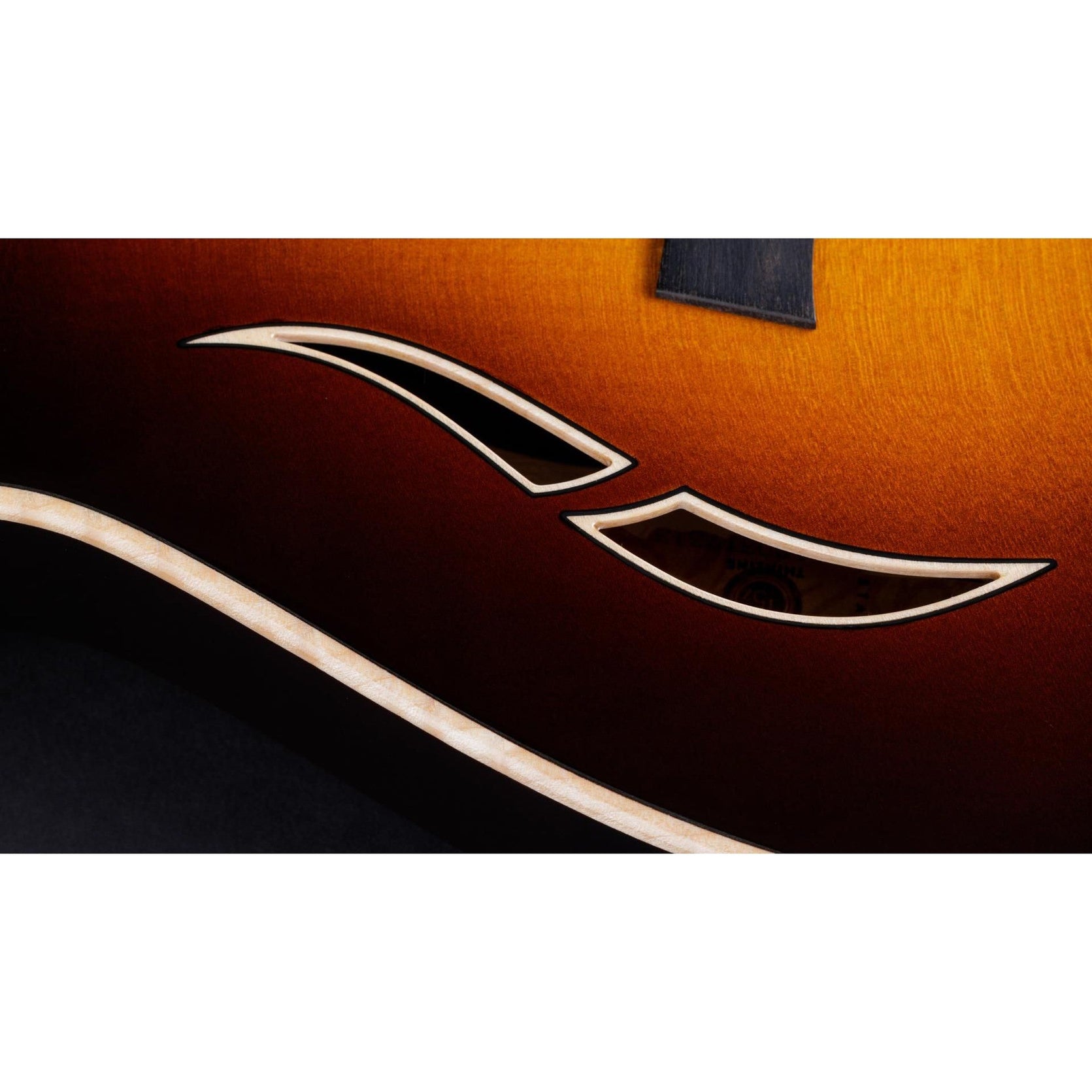 Đàn Guitar Điện Taylor T5z Pro-Mai Nguyên Music