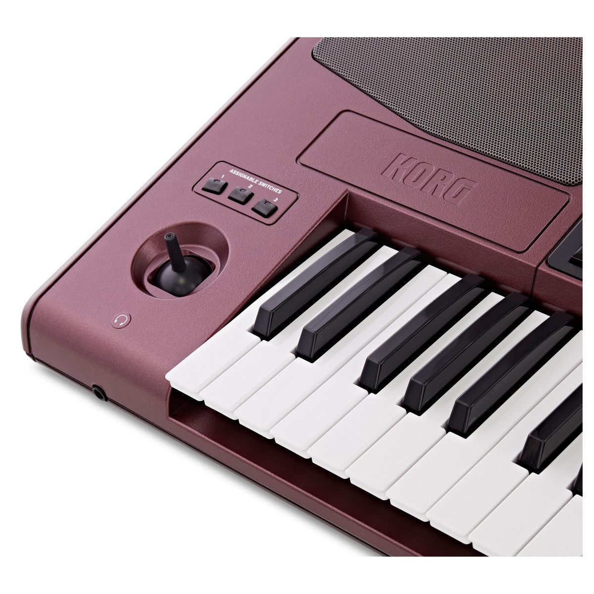 Đàn Organ Korg Pa1000 61-Phím Professional Arranger-Mai Nguyên Music