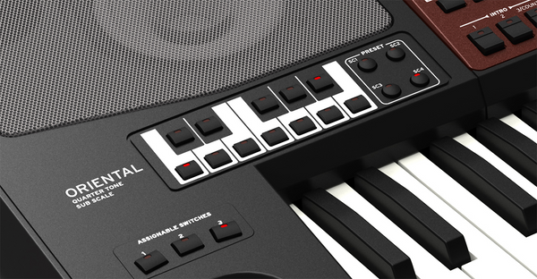 Đàn Organ Korg Pa700 61-Key ORIENTAL Professional Arranger