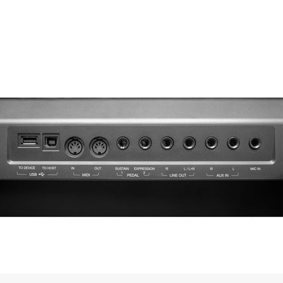 Đàn Organ Kurtzman SV800-Mai Nguyên Music