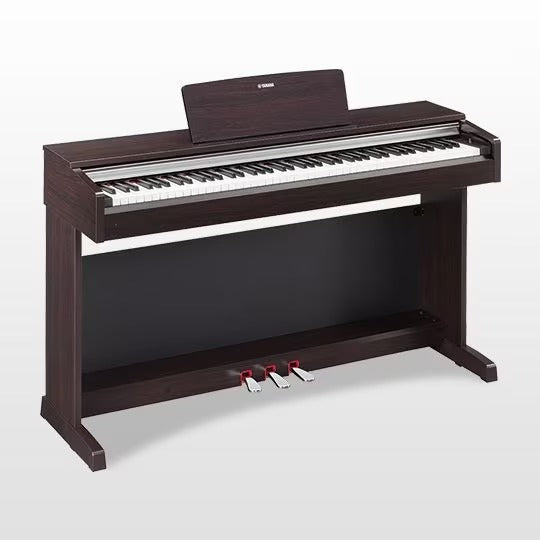 Đàn Piano Điện Yamaha YDP-142 - Qua Sử Dụng-Mai Nguyên Music