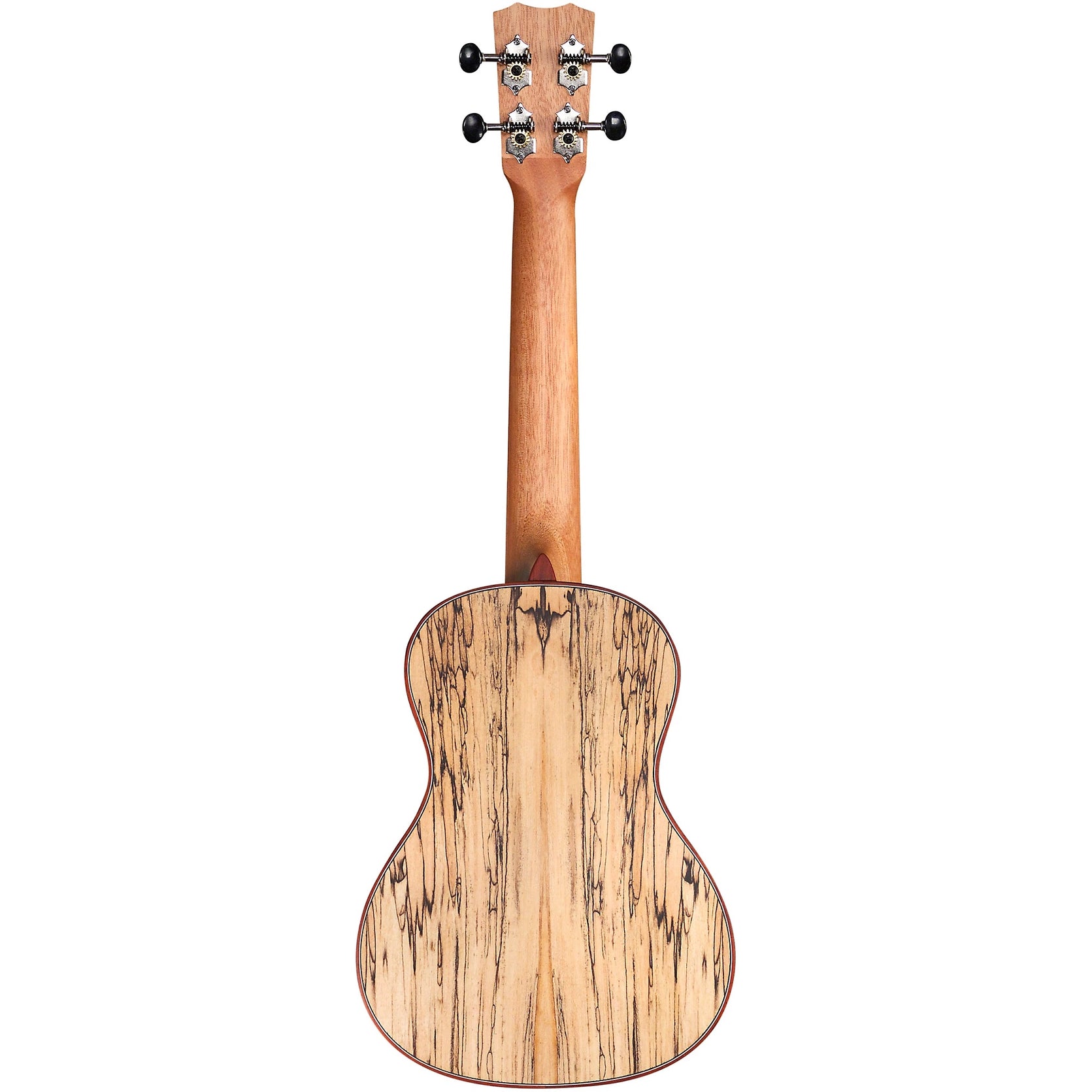 Đàn Ukulele Concert Cordoba 24C Spruce - Natural-Mai Nguyên Music