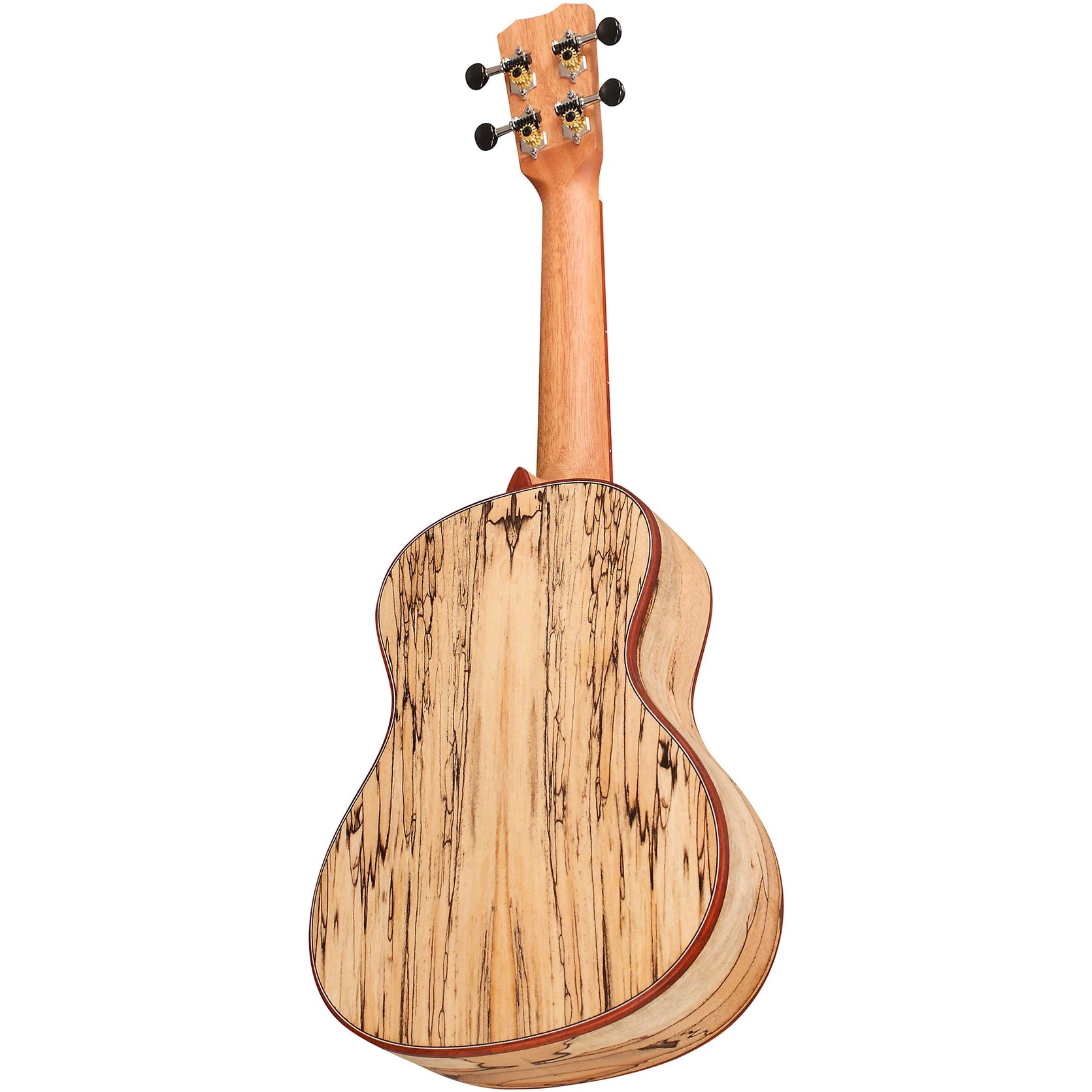 Đàn Ukulele Concert Cordoba 24C Spruce - Natural-Mai Nguyên Music