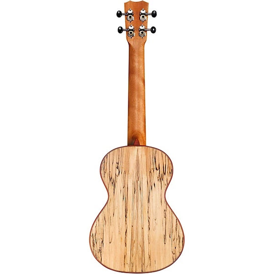 Đàn Ukulele Tenor Cordoba 24T Spruce - Natural-Mai Nguyên Music