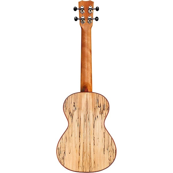 Đàn Ukulele Tenor Cordoba 24T Spruce - Natural-Mai Nguyên Music