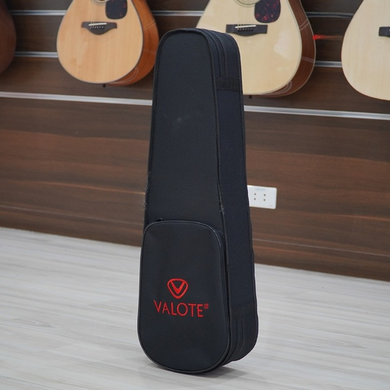 Đàn Violin VALOTE VN-002 Natural Flame-Mai Nguyên Music