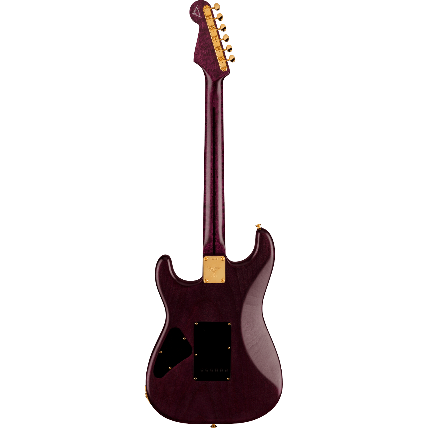 Fender Custom Shop 2021 Yuriy Shishkov Prestige Leaves of Tears Stratocaster NOS-Mai Nguyên Music