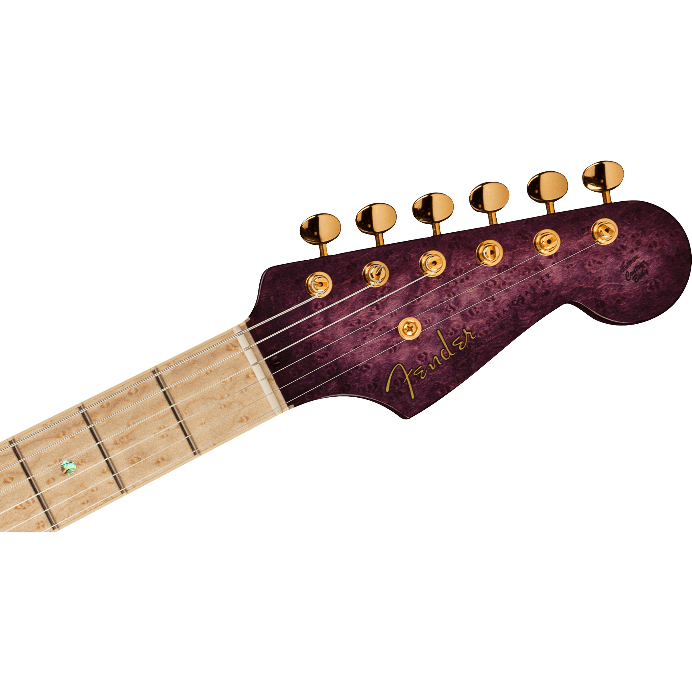 Fender Custom Shop 2021 Yuriy Shishkov Prestige Leaves of Tears Stratocaster NOS-Mai Nguyên Music