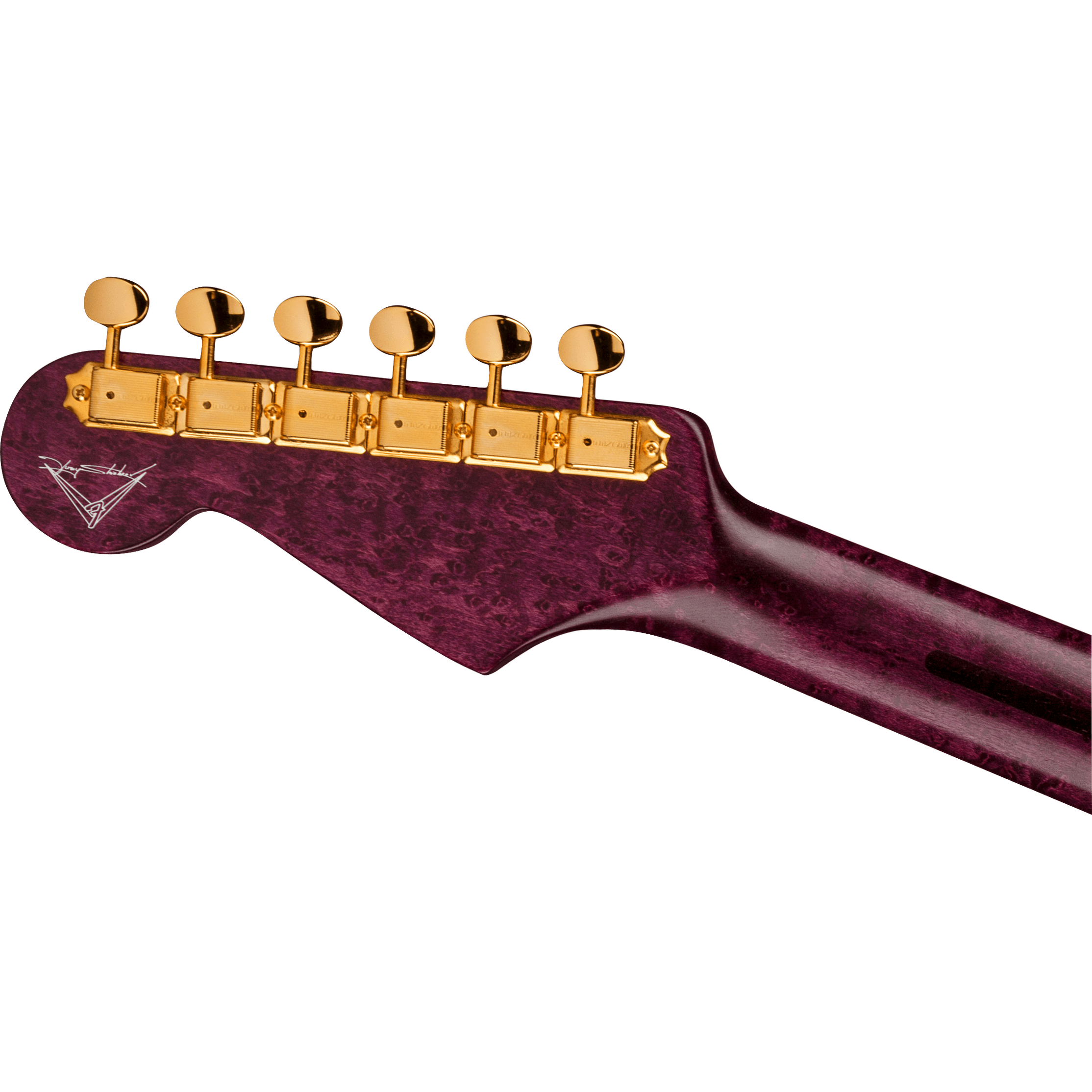 Fender Custom Shop 2021 Yuriy Shishkov Prestige Leaves of Tears Stratocaster NOS-Mai Nguyên Music