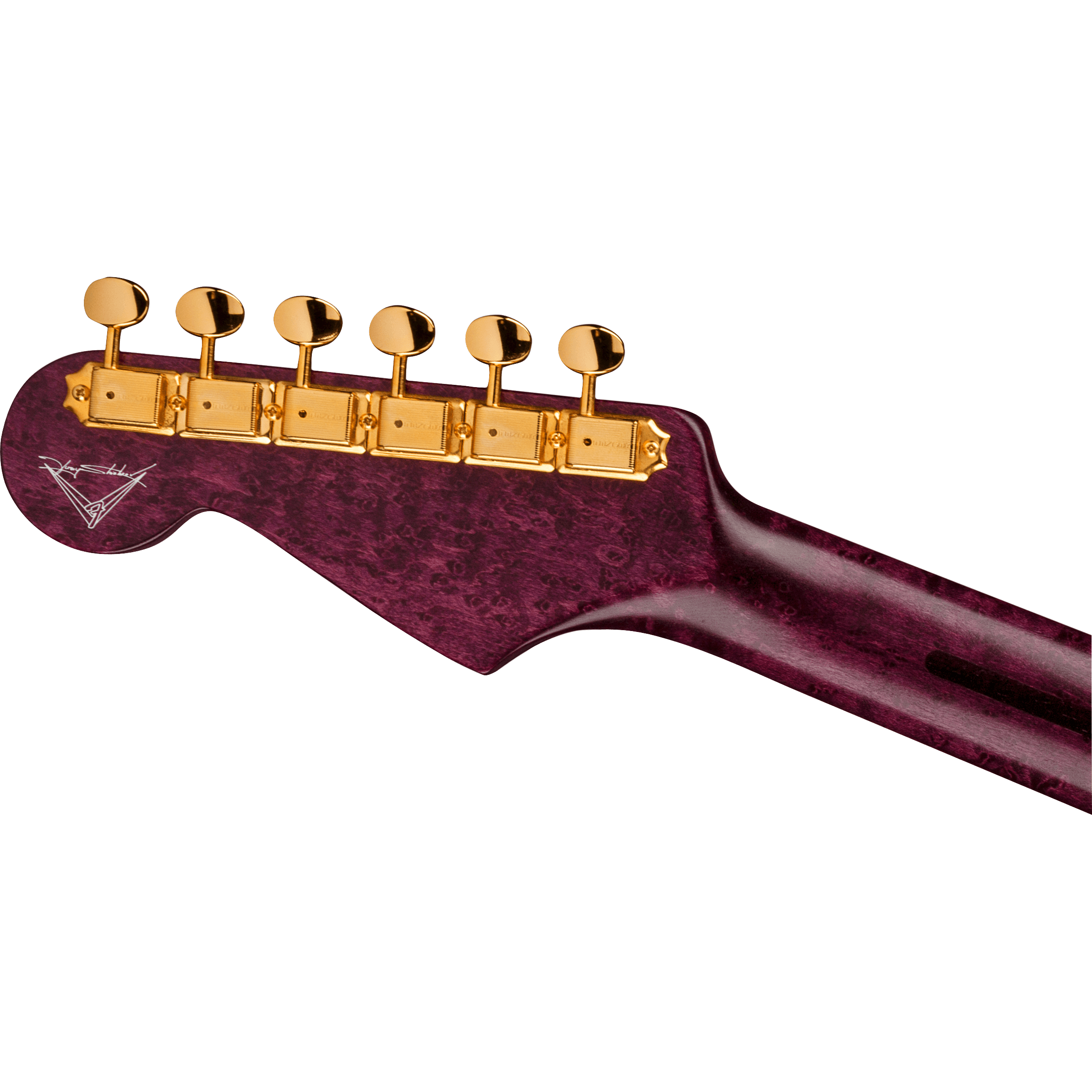 Fender Custom Shop 2021 Yuriy Shishkov Prestige Leaves of Tears Stratocaster NOS-Mai Nguyên Music