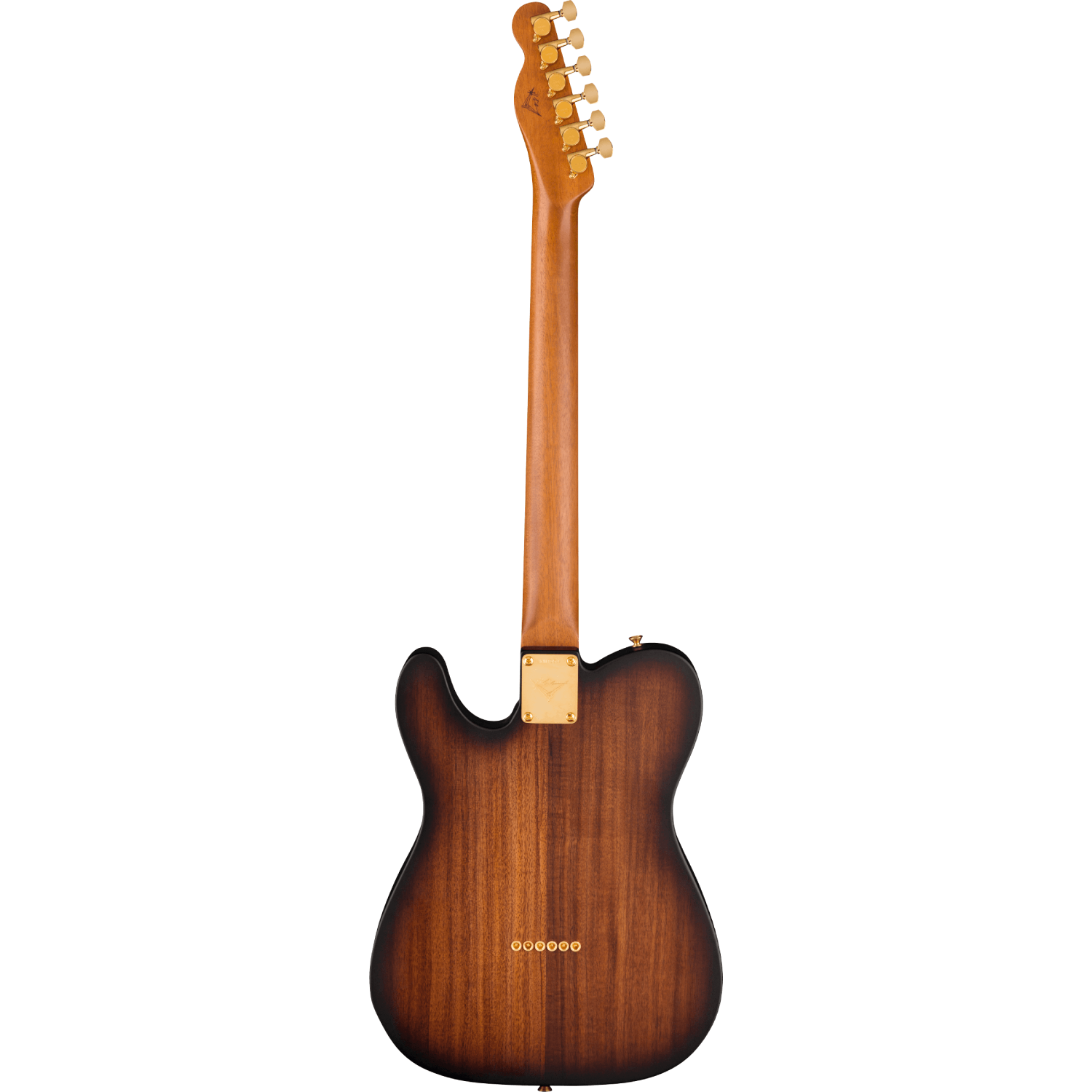 Fender Custom Shop 2022 Kyle McMillin Masterbuilt Prestige Thinline Telecaster NOS-Mai Nguyên Music