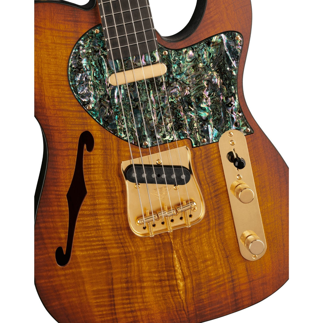 Fender Custom Shop 2022 Kyle McMillin Masterbuilt Prestige Thinline Telecaster NOS-Mai Nguyên Music