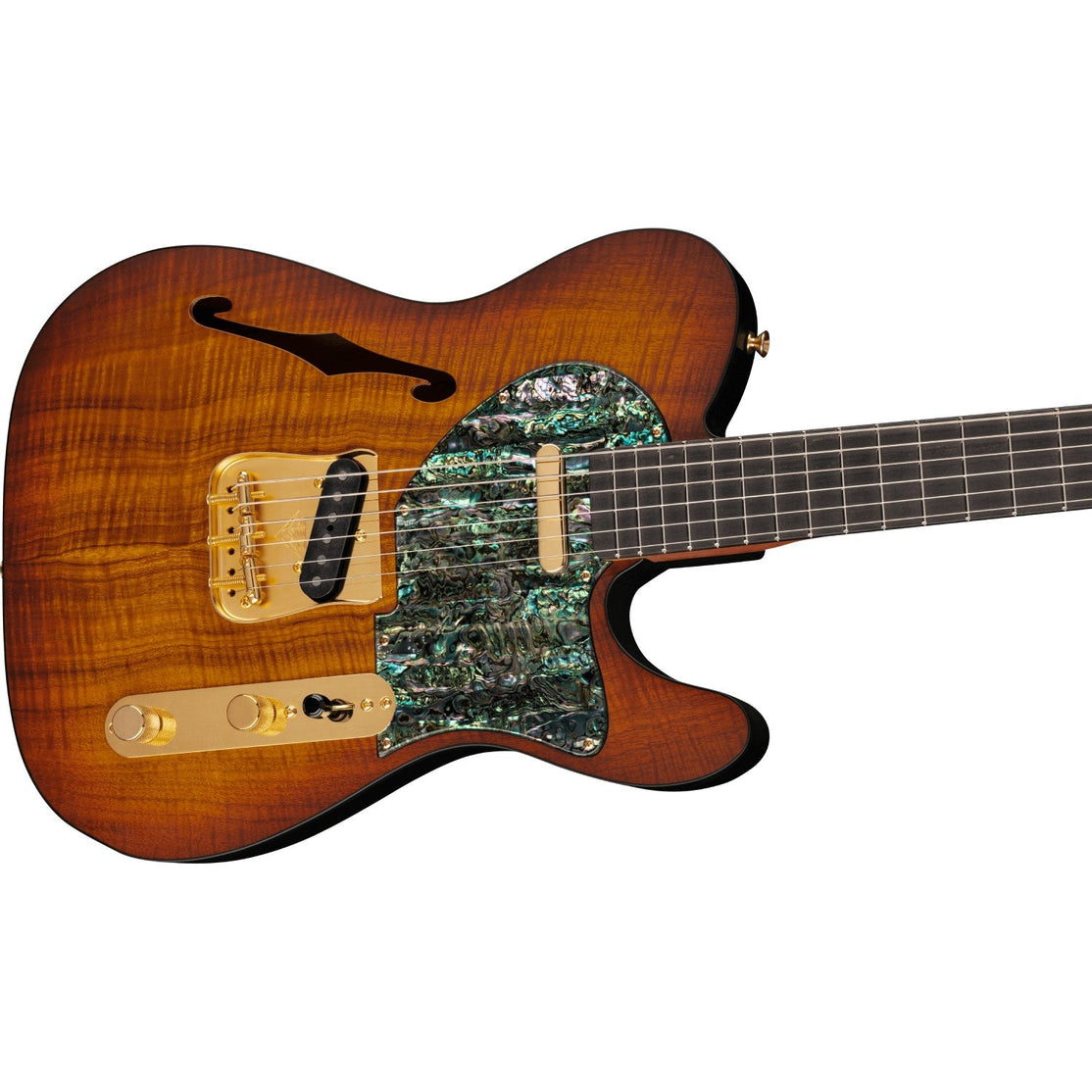 Fender Custom Shop 2022 Kyle McMillin Masterbuilt Prestige Thinline Telecaster NOS-Mai Nguyên Music