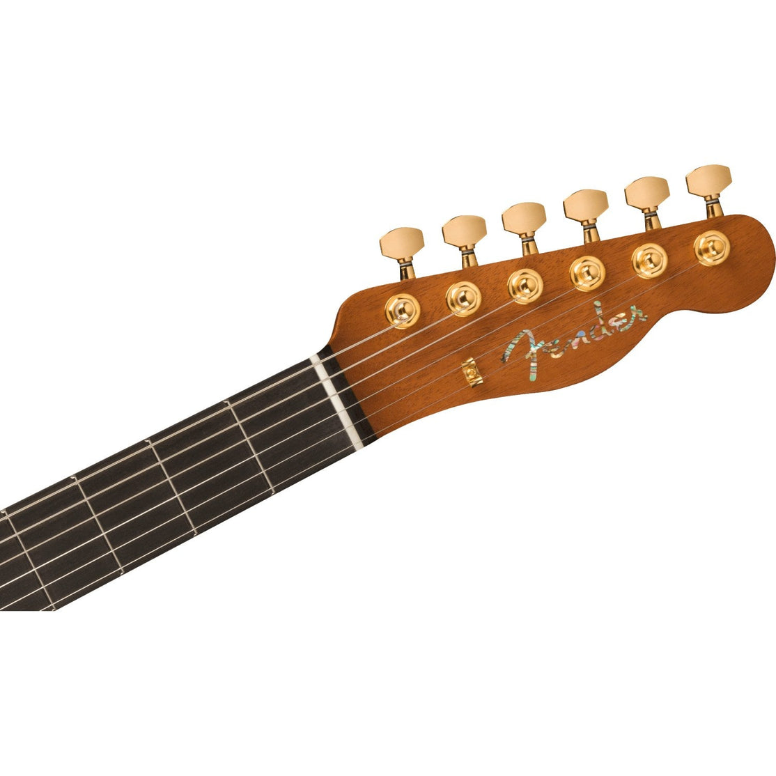 Fender Custom Shop 2022 Kyle McMillin Masterbuilt Prestige Thinline Telecaster NOS-Mai Nguyên Music