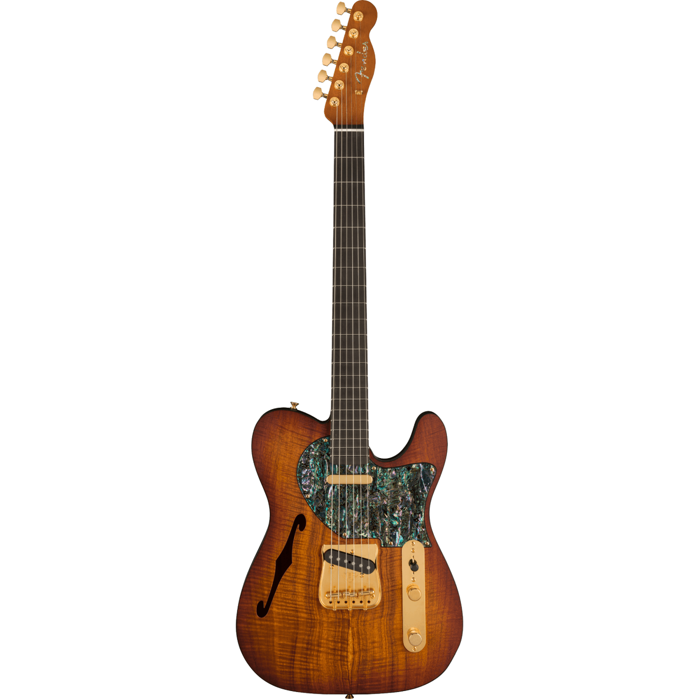 Fender Custom Shop 2022 Kyle McMillin Masterbuilt Prestige Thinline Telecaster NOS-Mai Nguyên Music