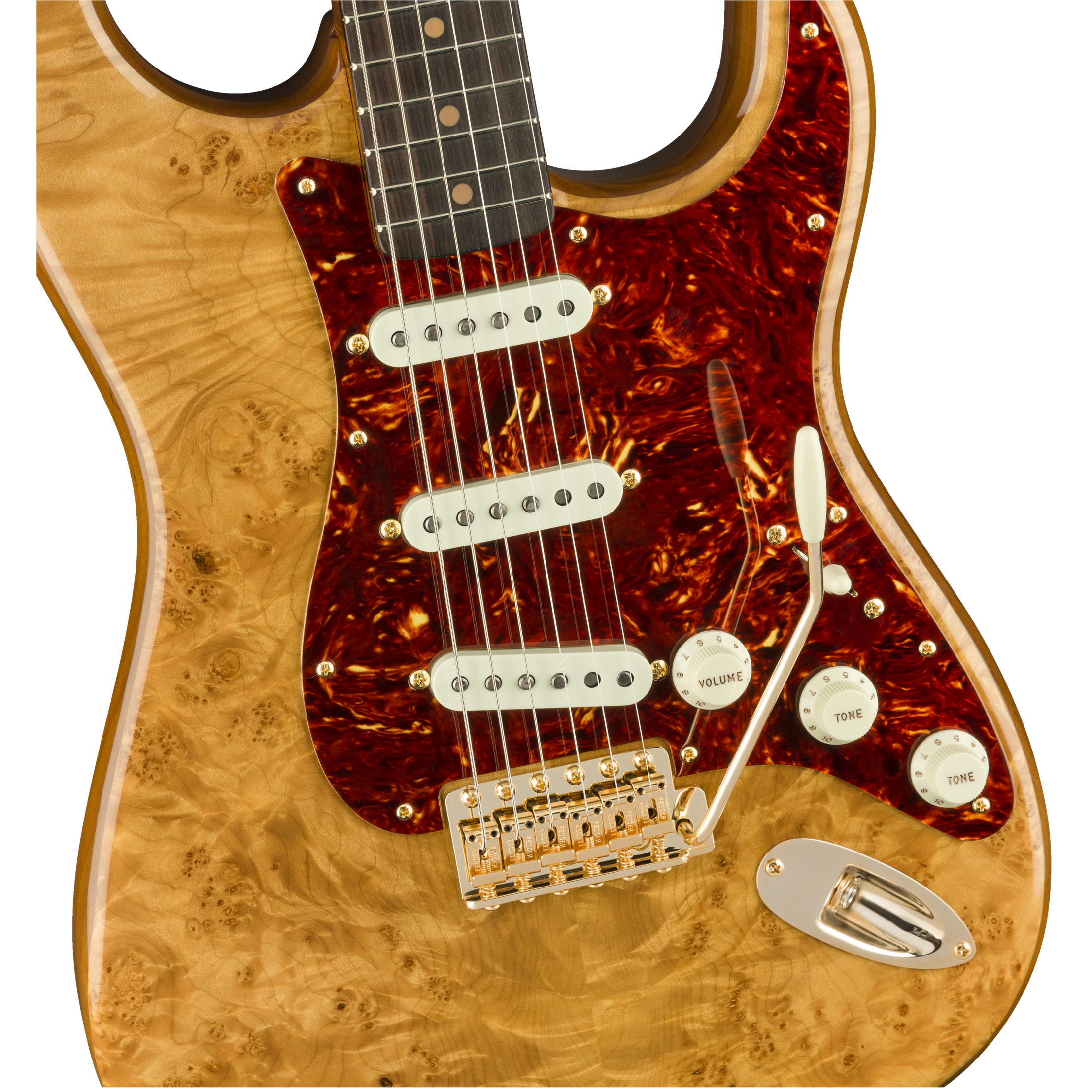Fender Custom Shop Artisan Maple Burl Stratocaster-Mai Nguyên Music