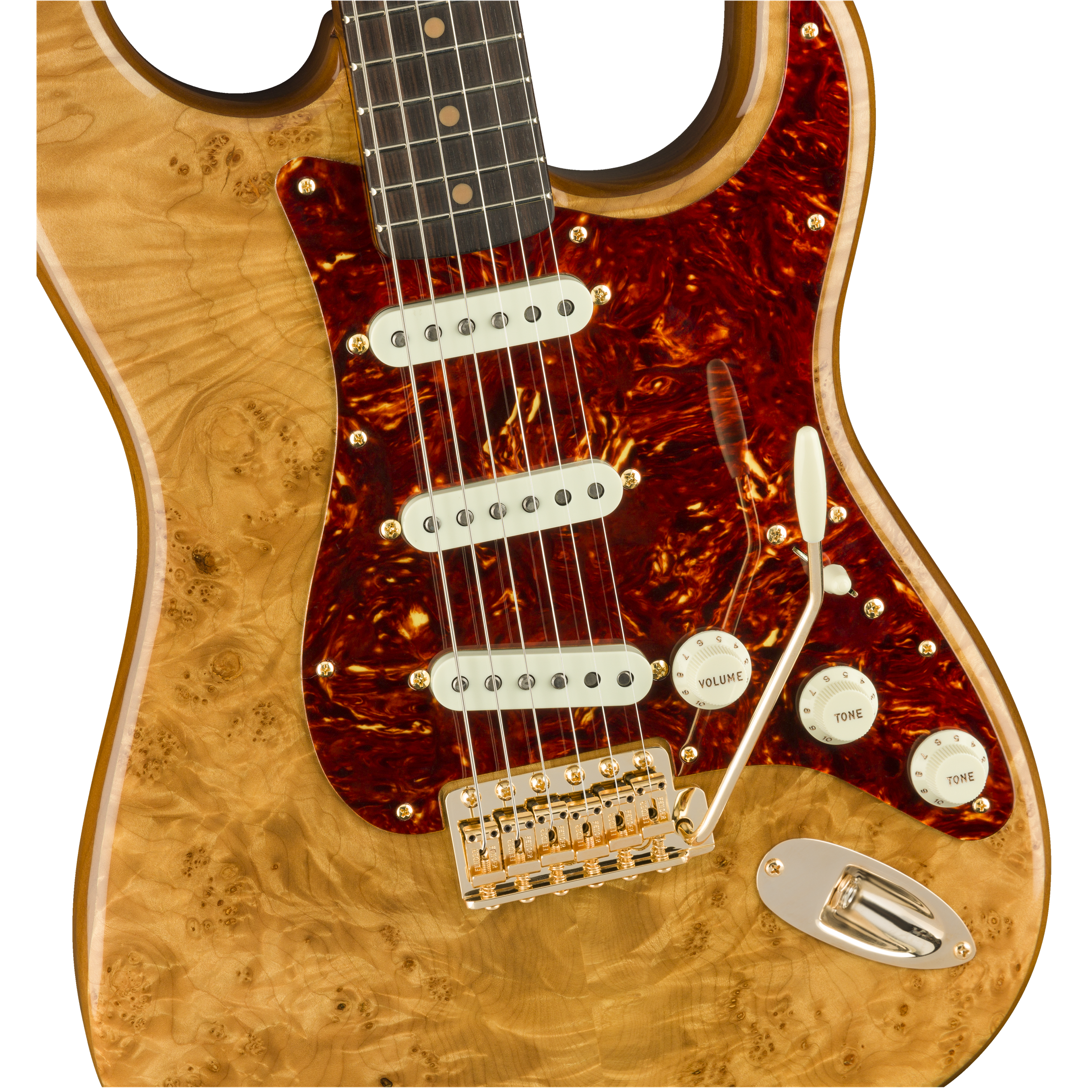 Fender Custom Shop Artisan Maple Burl Stratocaster-Mai Nguyên Music