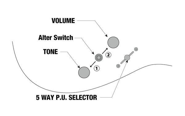 Ibanez Prestige AZ2204, Controls
