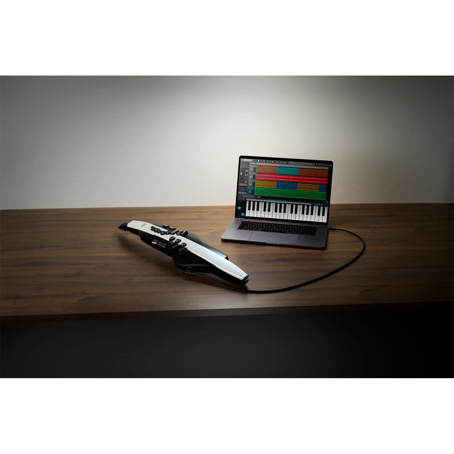Kèn Điện Tử Roland Aerophone AE-20-Mai Nguyên Music